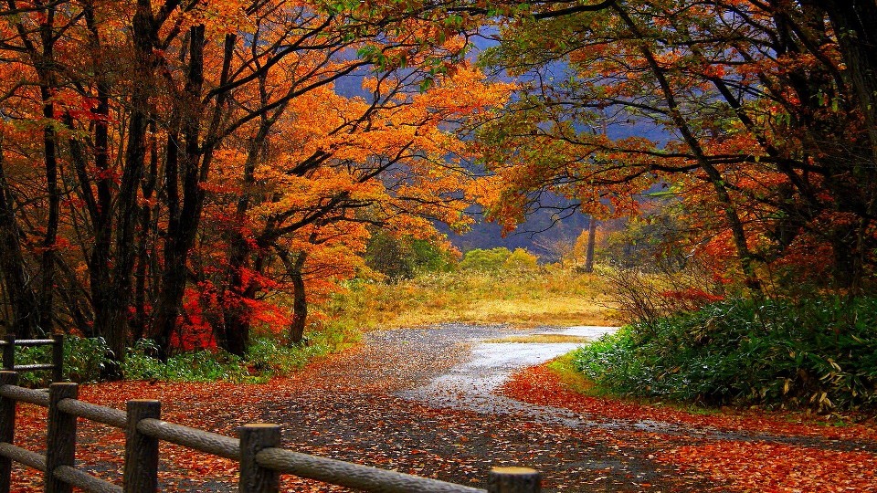 autunno15