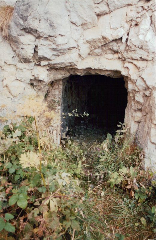 boccaor-15