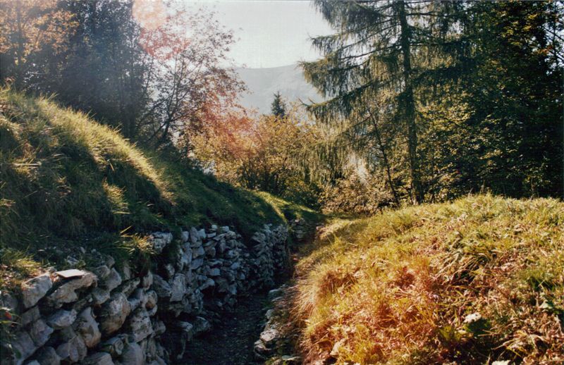 boccaor-26